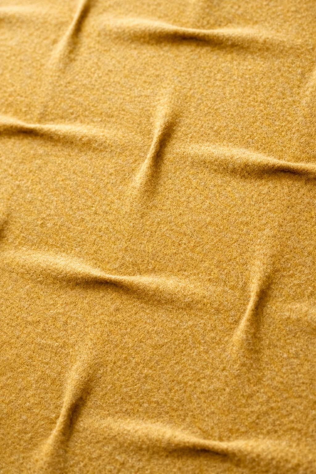 Honey Muse Nest